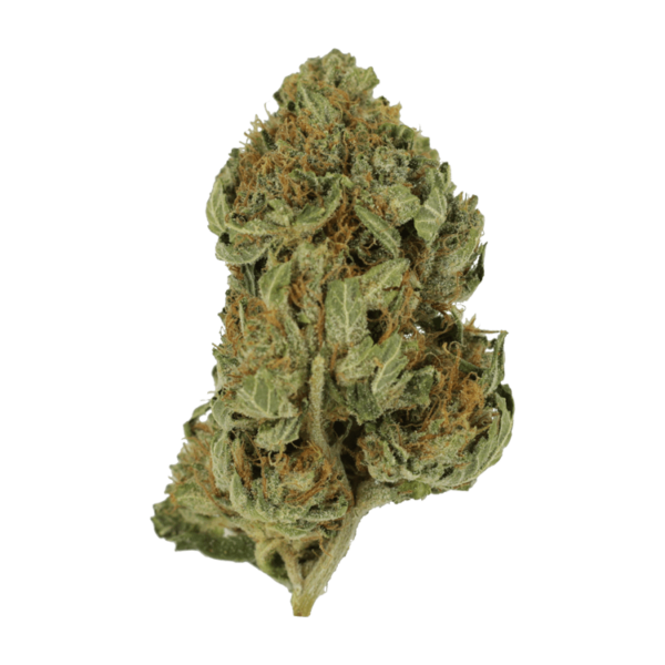 Bubblegum – 1 ounce | Weedsy Canada
