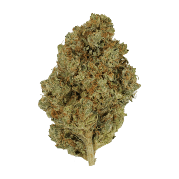 Nepalese | Weedsy Canada