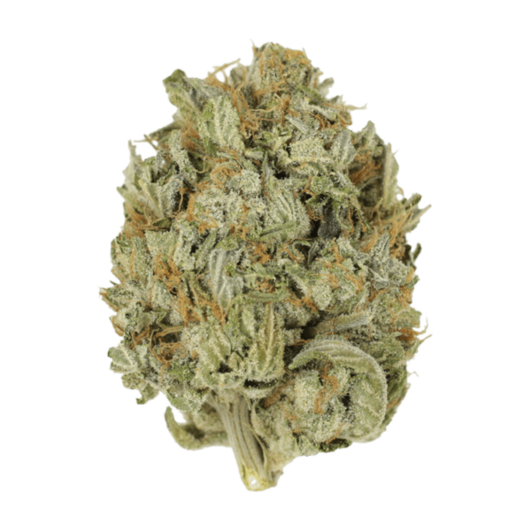 Blue Dream (Popcorn) | Weedsy Canada