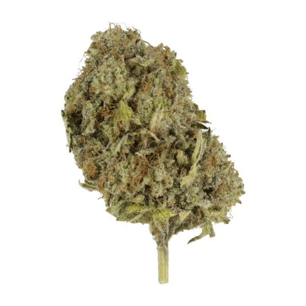 God’s Green Crack | Weedsy Canada