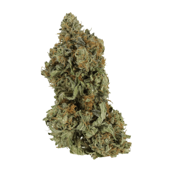 Bruce Banner #3 | Weedsy Canada