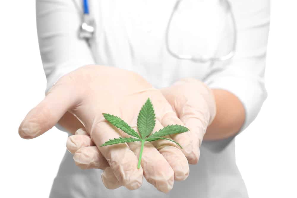 Cannabis as a natural cure for pain | Weedsy Canada