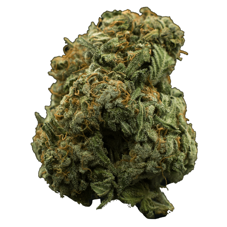 Lavender | Weedsy Canada Lavender | Weedsy Canada