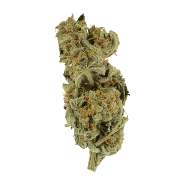 Gorilla Glue | Weedsy Canada