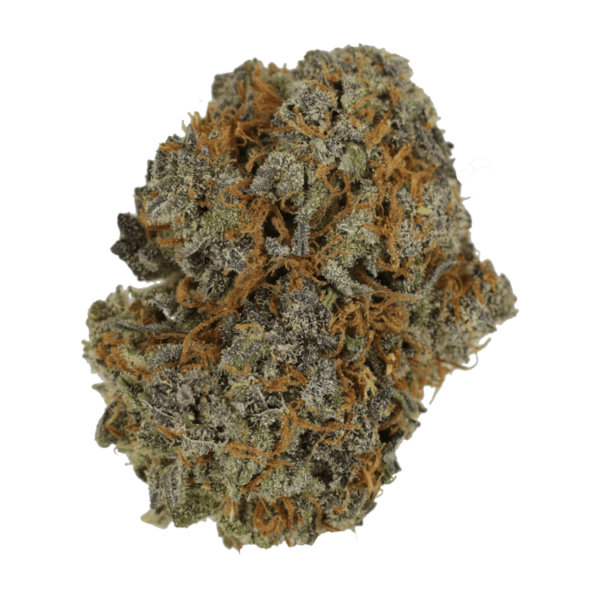 Jack Herer 1 Ounce | Weedsy Canada