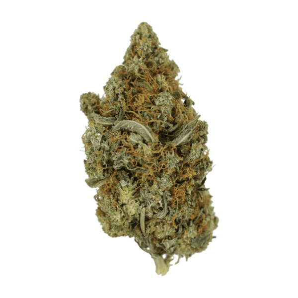 Jack Herer 1 Ounce | Weedsy Canada