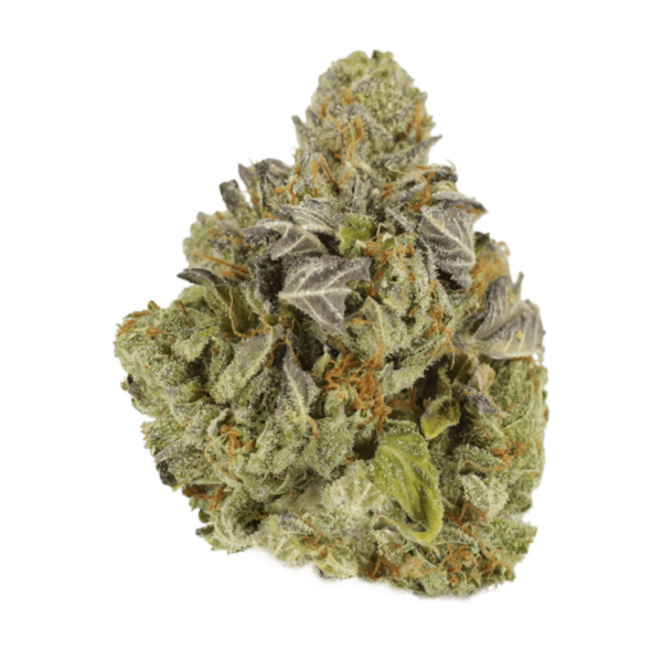 Jet Fuel | Weedsy Canada