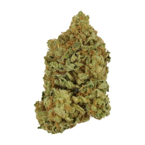 Blueberry | Weedsy Canada