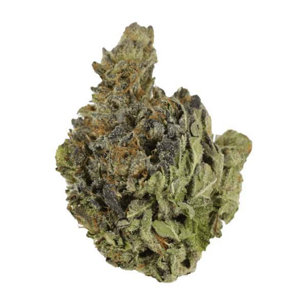 Chocolope | Weedsy Canada