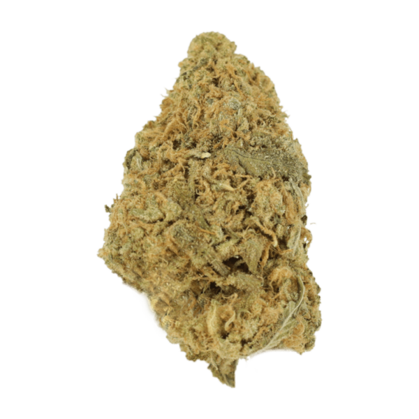 Zombie OG | Weedsy Canada
