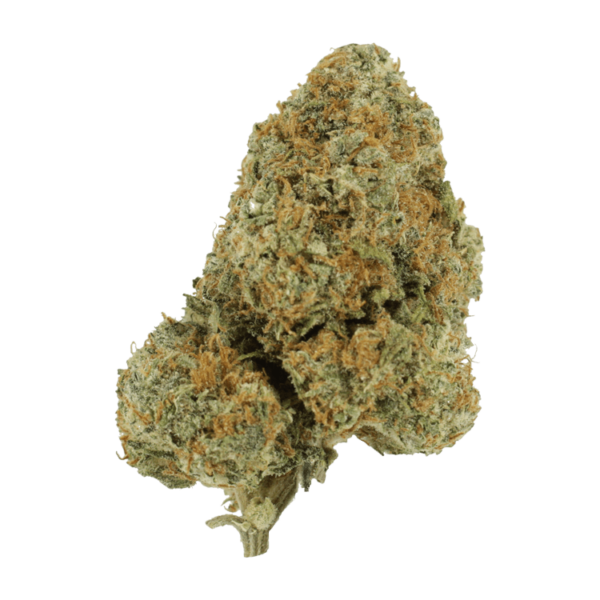 Blue Rhino | Weedsy Canada