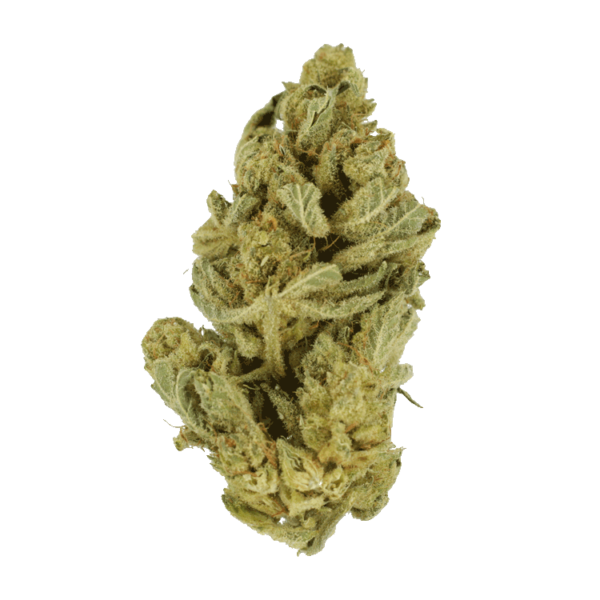 Hindu Kush – 7g | Weedsy Canada