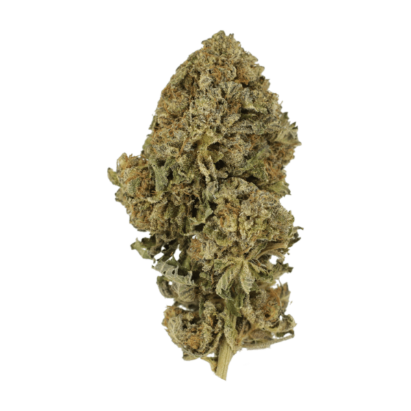 Durban Poison | Weedsy Canada