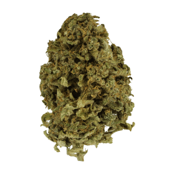 Nebula | Weedsy Canada Nebula | Weedsy Canada