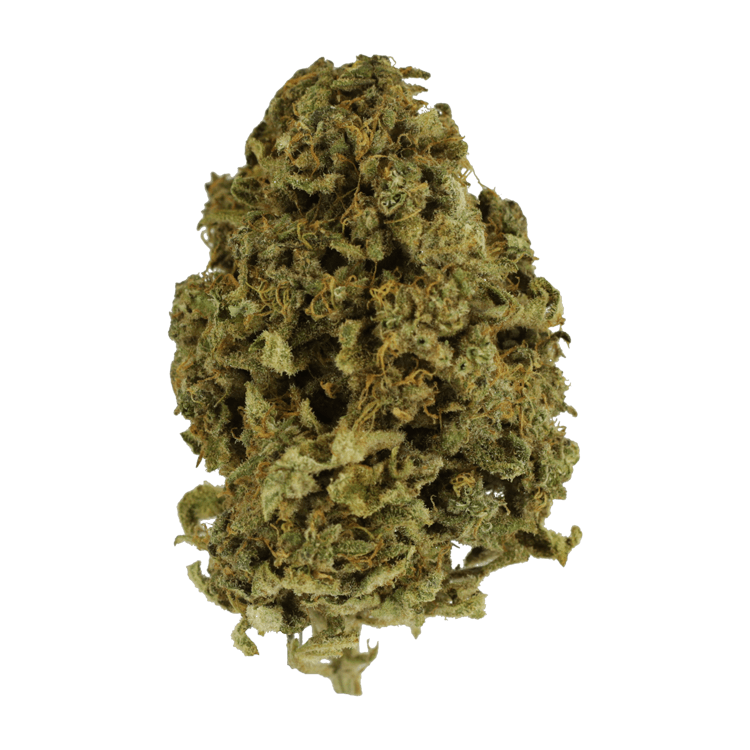 Nebula | Weedsy Canada Nebula | Weedsy Canada