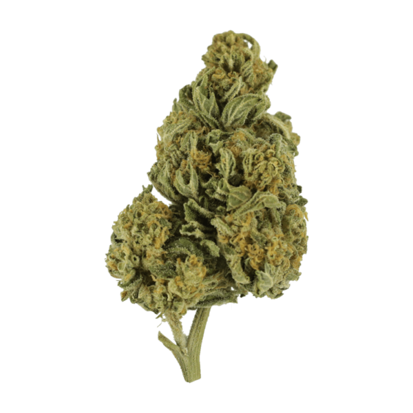 Blackwater | Weedsy Canada