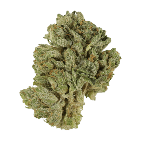 Northern Lights 2 for $69 | Weedsy Canada