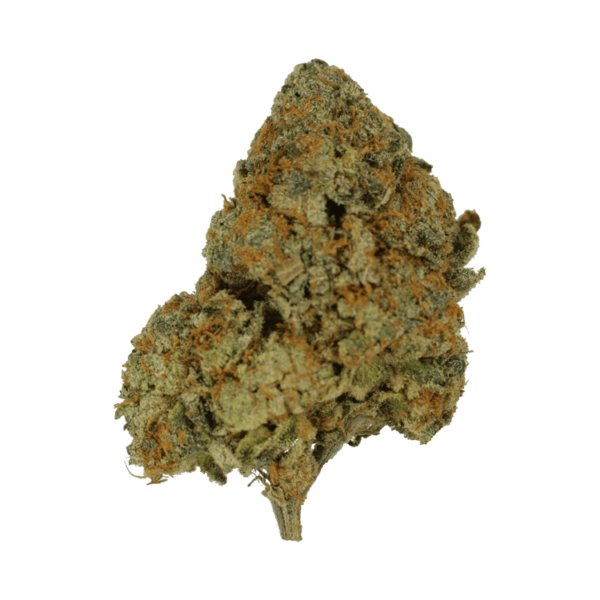 9lb Hammer | Weedsy Canada