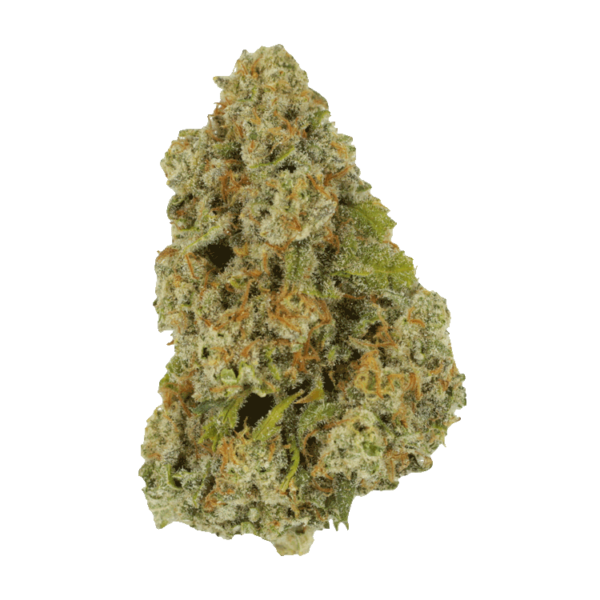 Colorado Diesel | Weedsy Canada