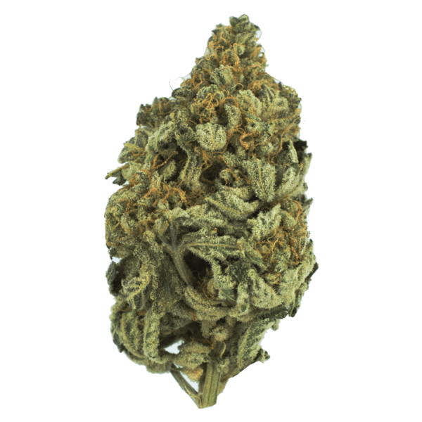 Bakerstreet | Weedsy Canada