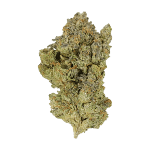 Golden Goat | Weedsy Canada