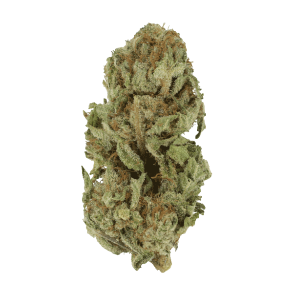 Golden Goat | Weedsy Canada
