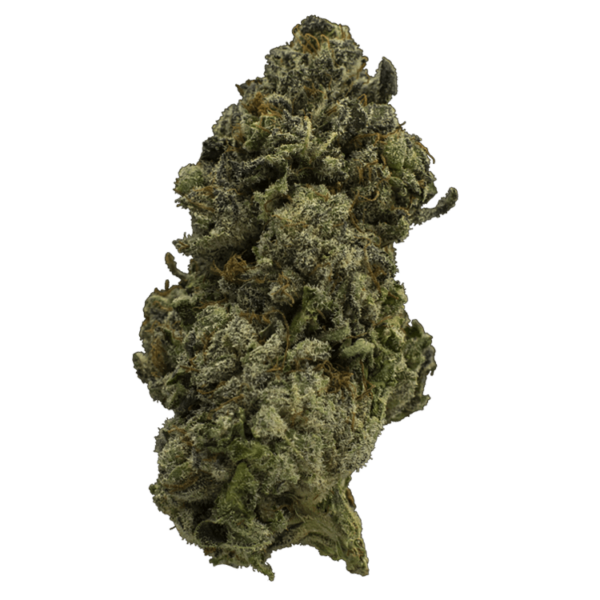 Fire Alien Urkle | Weedsy Canada