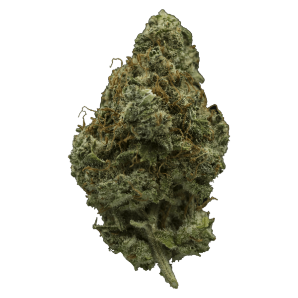 El Fuego | Weedsy Canada