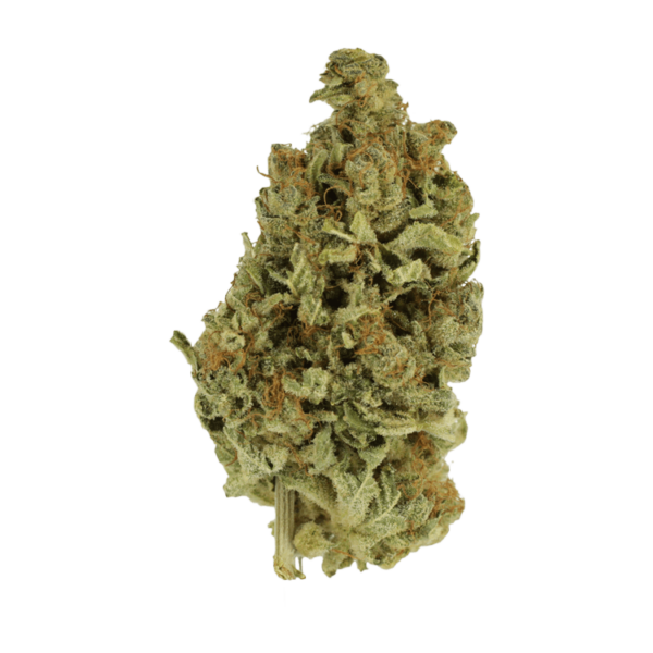 Cali Gold | Weedsy Canada