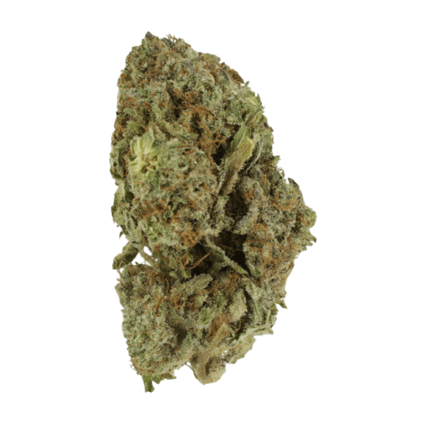 Gelato Sorbet – 1 ounce | Weedsy Canada