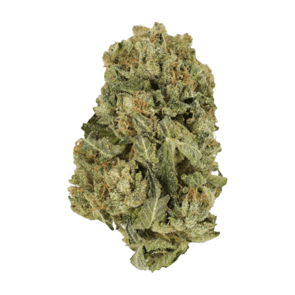 Black Domina | Weedsy Canada
