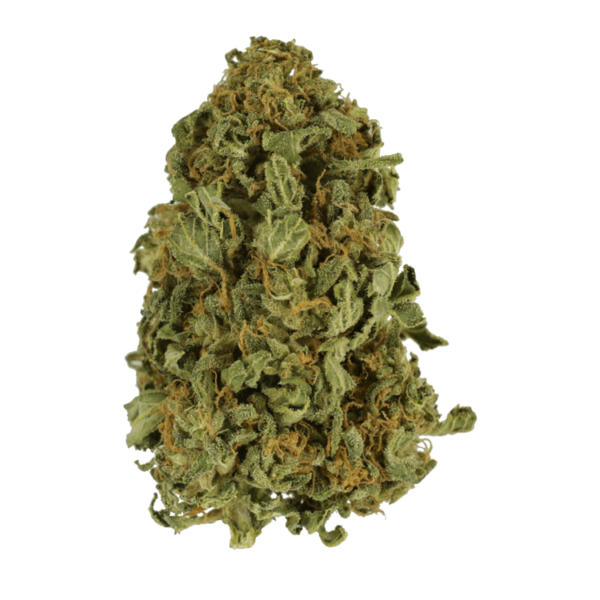 Apricot Kush – $35/oz | Weedsy Canada