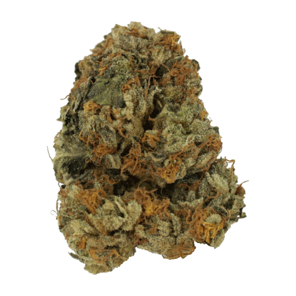 Dolato – 1OZ | Weedsy Canada