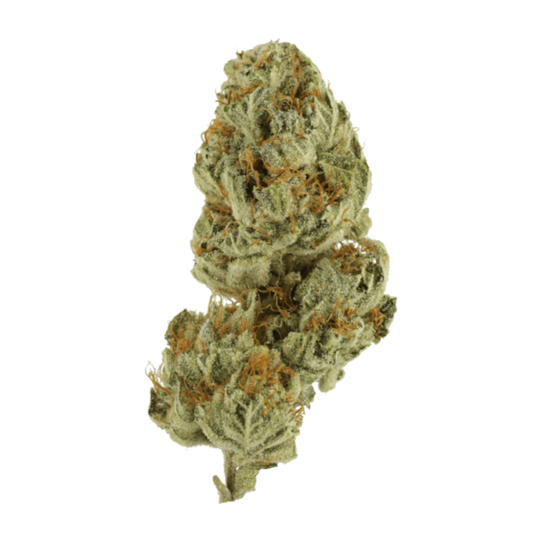Strawberry Glue | Weedsy Canada