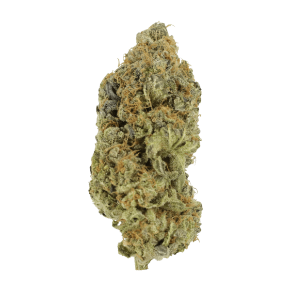 Critical Widow | Weedsy Canada Critical Widow | Weedsy Canada