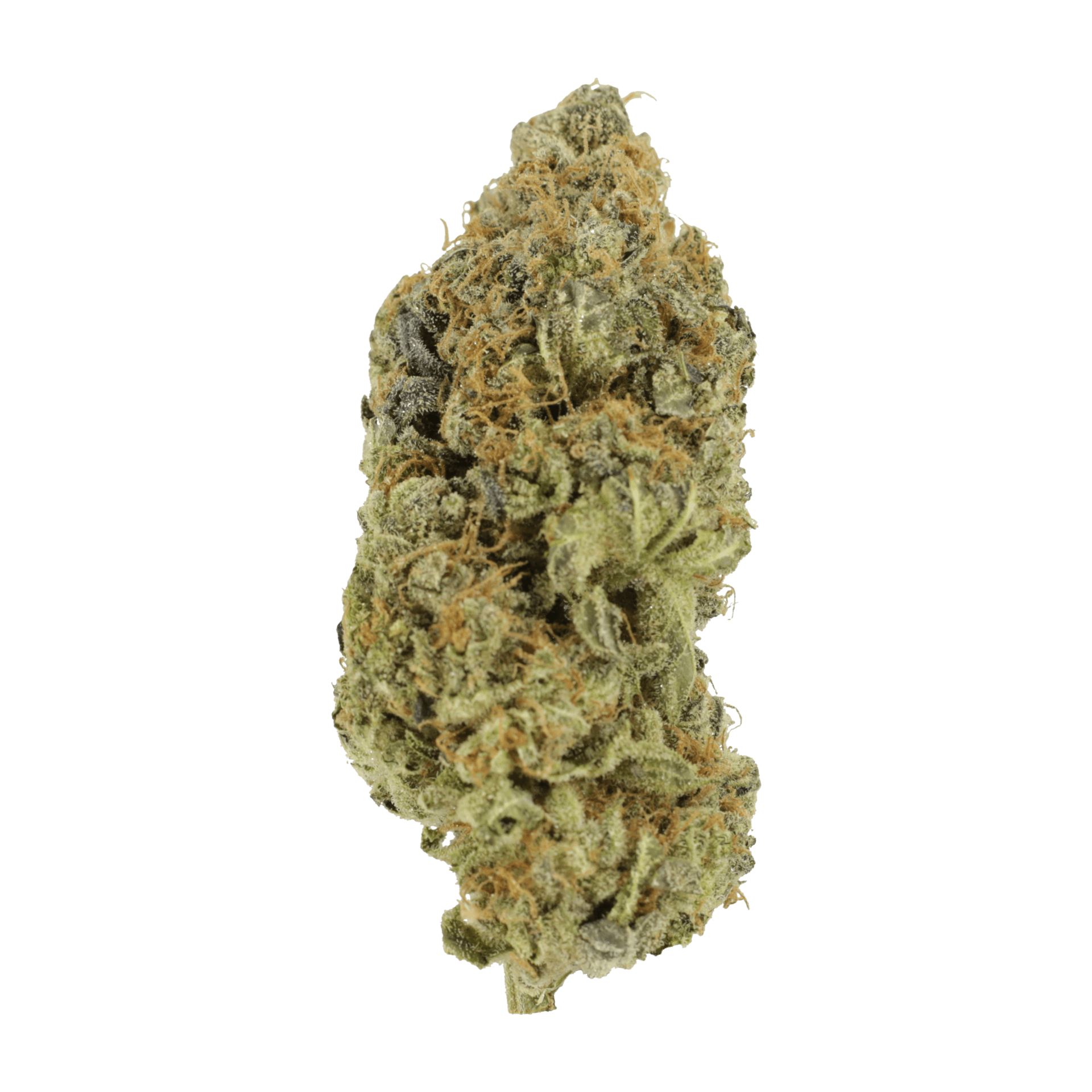 Critical Widow | Weedsy Canada Critical Widow | Weedsy Canada