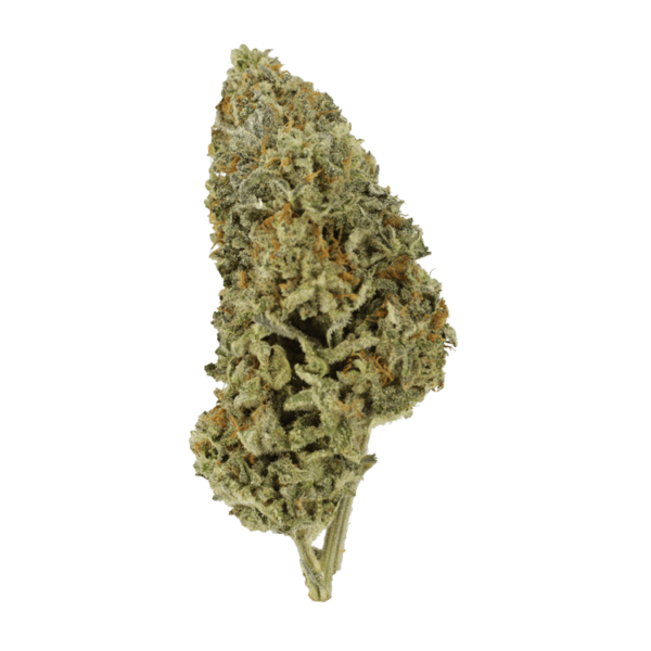 Super Silver Sour Diesel | Weedsy Canada