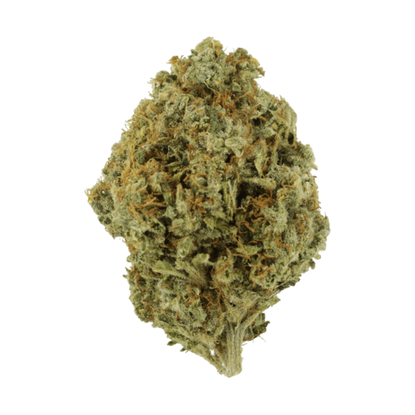 Orange Barb | Weedsy Canada