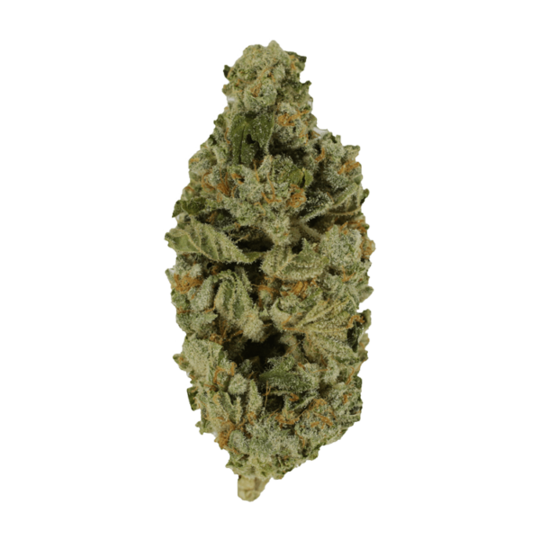 Crazy Glue | Weedsy Canada