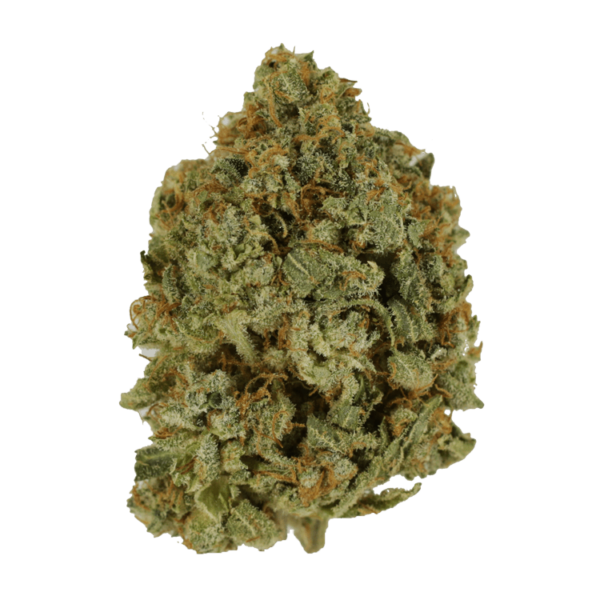 Crazy Glue | Weedsy Canada