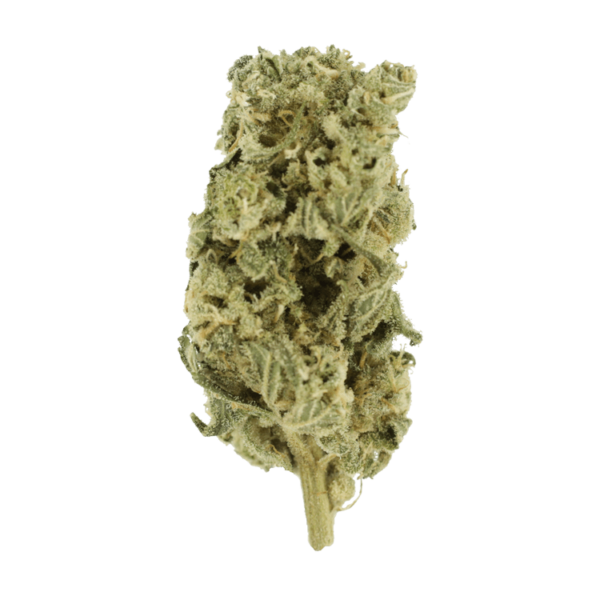Romulan Hashplant | Weedsy Canada