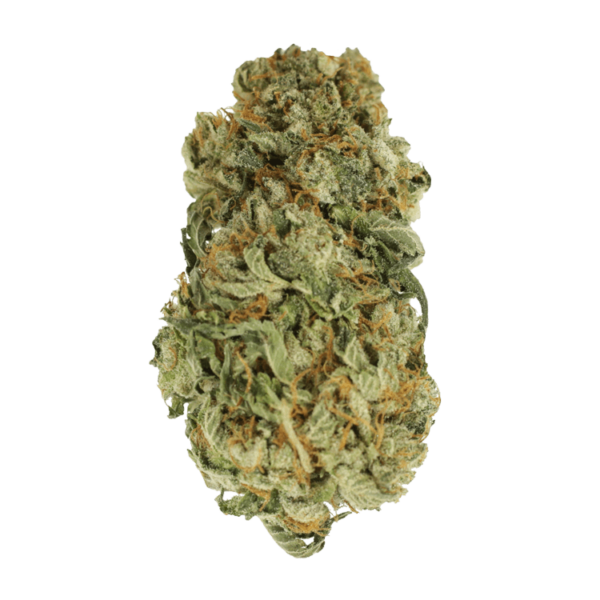 King Louis – 1 ounce | Weedsy Canada