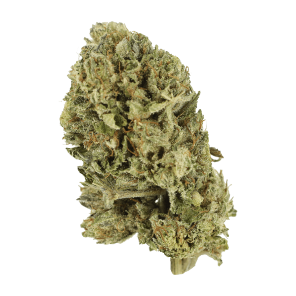 Purple OG Kush – 1 ounce | Weedsy Canada