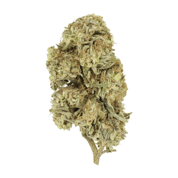 Cherry Wine (CBD) | Weedsy Canada