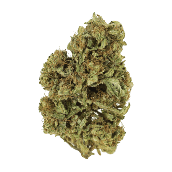 Cherry Wine (CBD) | Weedsy Canada