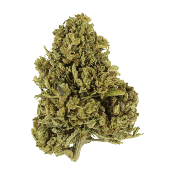 Cherry Wine (CBD) | Weedsy Canada