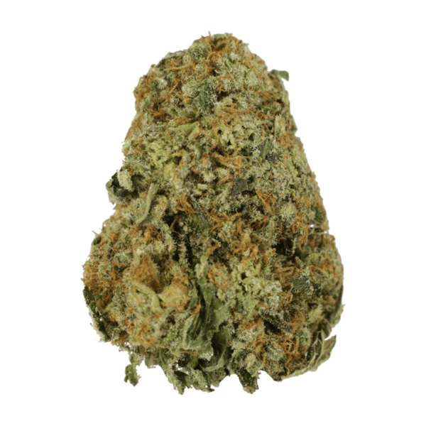 High School Sweetheart | Weedsy Canada