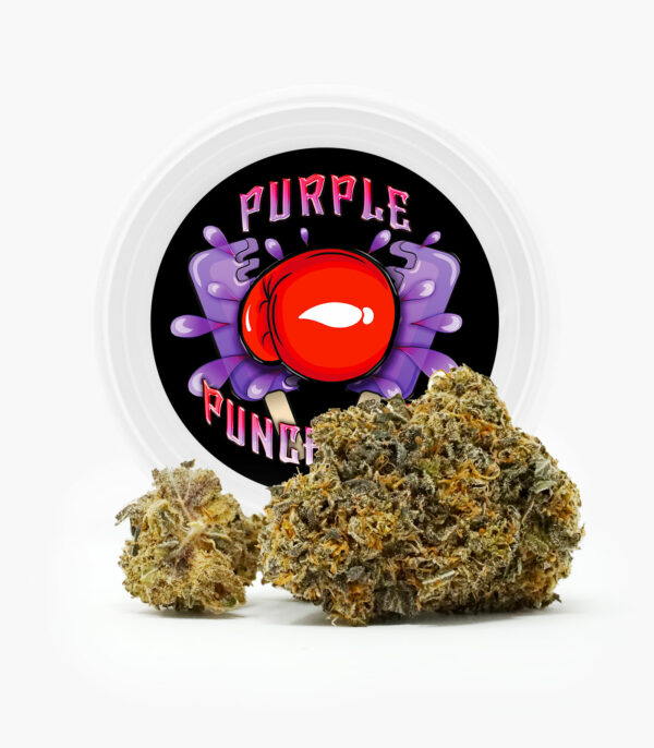 Westcoast Cali Tins – Premium Flower – Purple Punchsicle – 14g | Weedsy Canada
