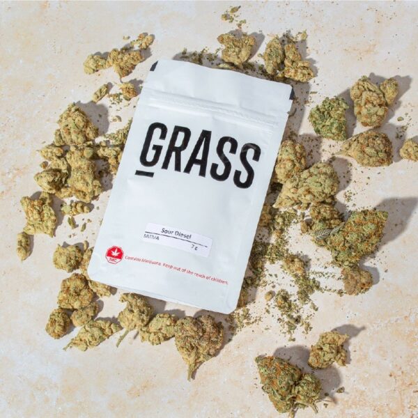 1/2OZ Sample Pack (AAA) – SAVE 20% | Weedsy Canada