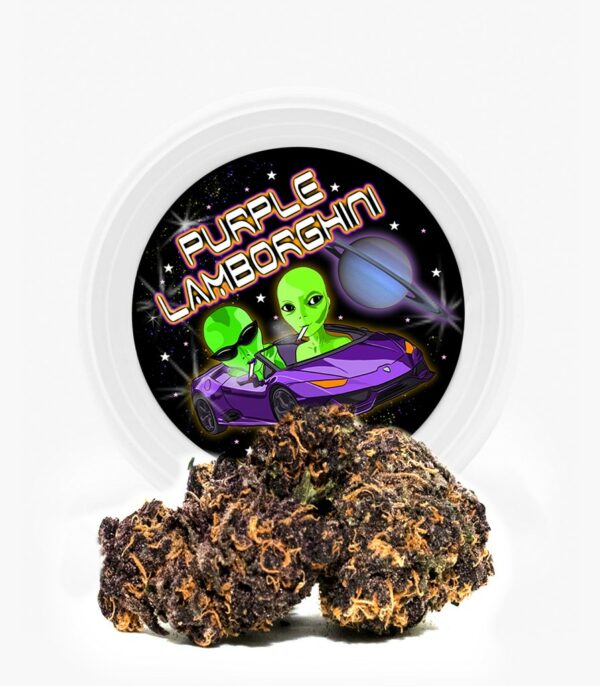 Westcoast Cali Tins – Premium Flower – Purple Lamborghini – 3.5g | Weedsy Canada
